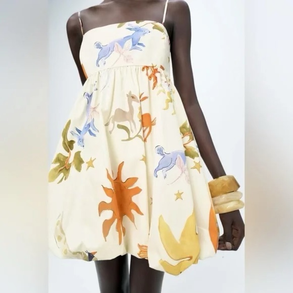 Zara Voluminous Printed Dress